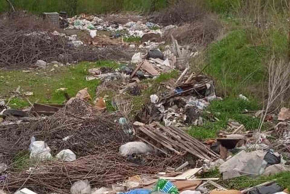 Ущерб почвам на 23 млн нанесла крупная свалка отходов под Воронежем