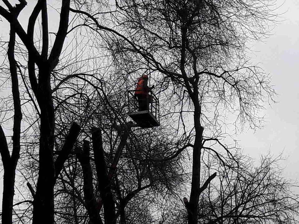 Закроют движение в переулке Пятницкого в Воронеже