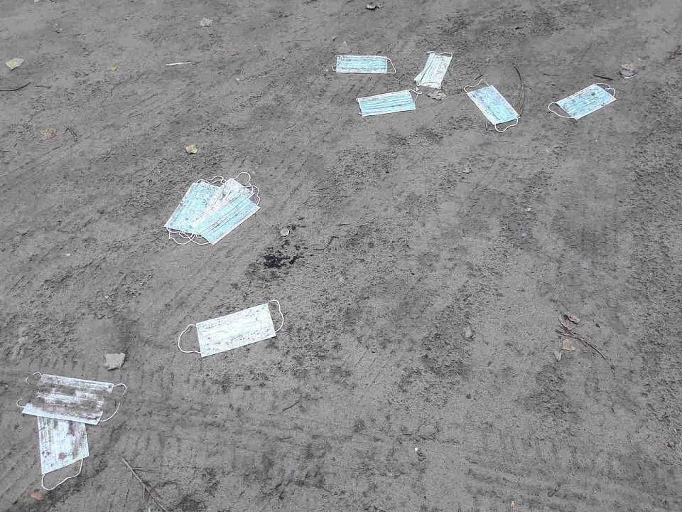 COVID-19 в Воронежской области: за неделю выявлено 84 случая