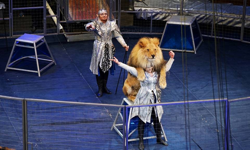 Что примечательного можно увидеть в «Звездном круизе» Воронежского цирка?