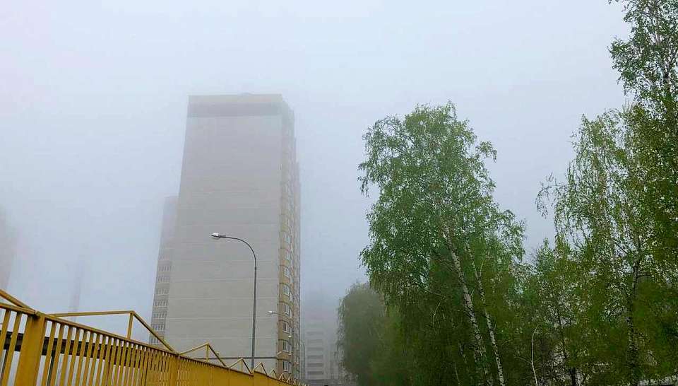 Что будет в Воронеже 22 октября. Яков Дровопилец. Акция «День Белых Журавлей». Желтый уровень метеоопасности. Отключение холодной воды на левом берегу