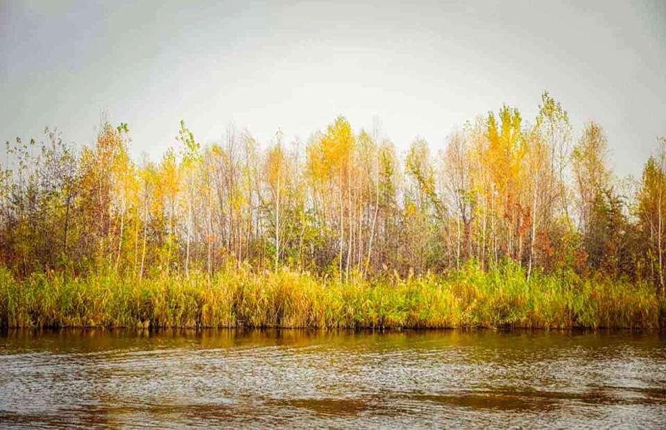 Потепление до +13 придет после 4-градусного мороза в Воронежскую область