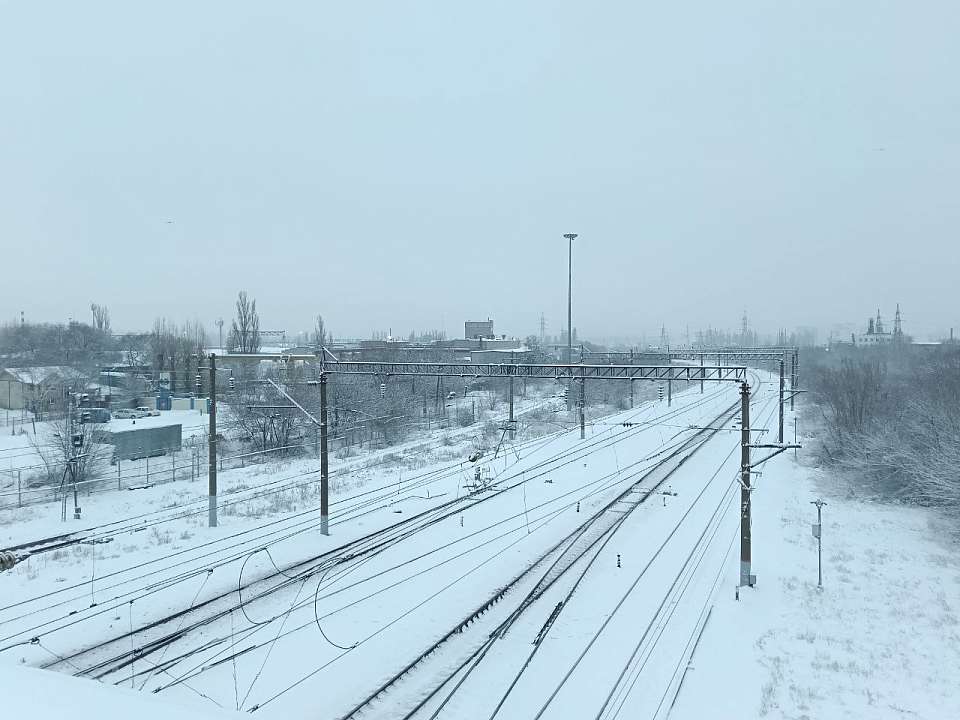 Воронежский заповедник приглашает родителей и детей приехать «в гости к бобрам» на поезде