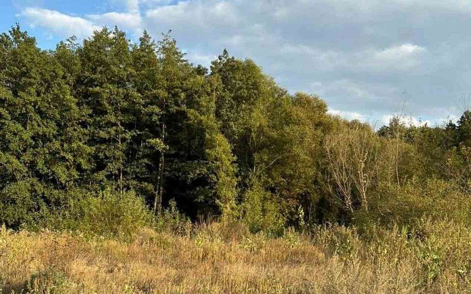 Более 20 га земель вернула из частной собственности прокуратура под Воронежем