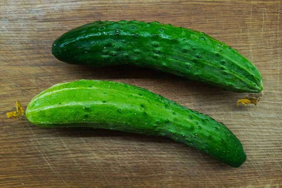 Рост цен на огурцы зафиксирован в Воронежской области