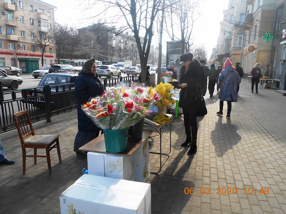 В Ленинском районе Воронежа изъяли 700 незаконных цветов