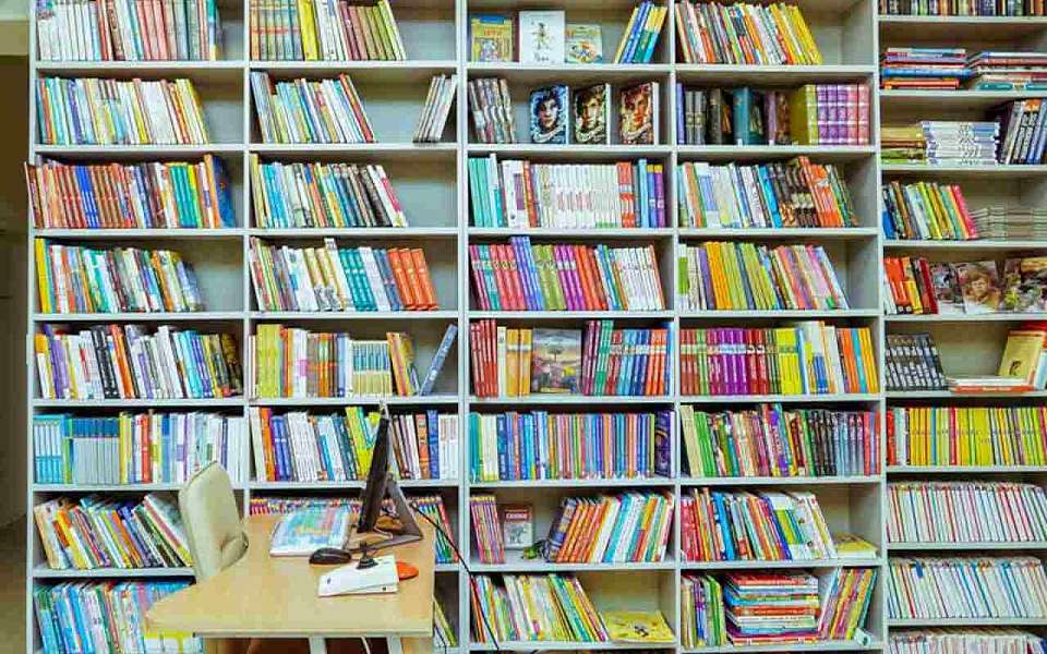 Список книг для чтения на летних каникулах представили в воронежском министерстве образования