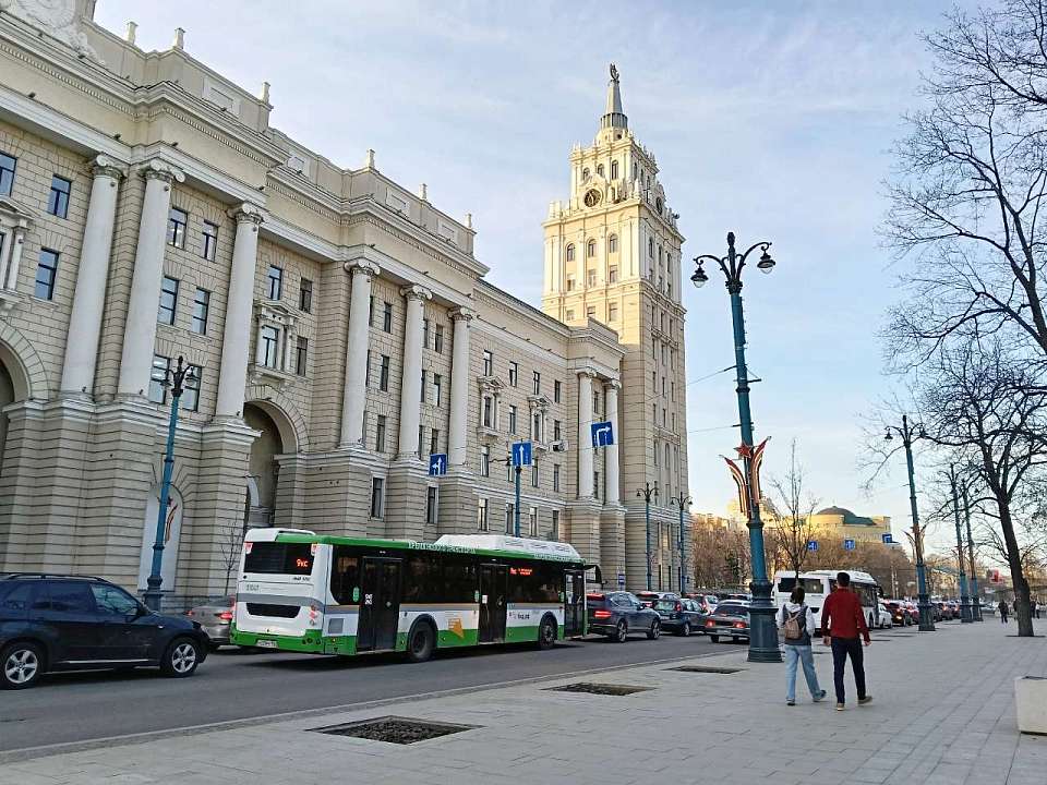 «Библионочь», фолк-концерт и летучие мыши. Куда воронежцам сходить на выходных 18 и 19 апреля