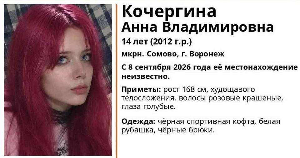 Пропавшую 8 сентября 14-летнюю школьницу ищут в Воронеже
