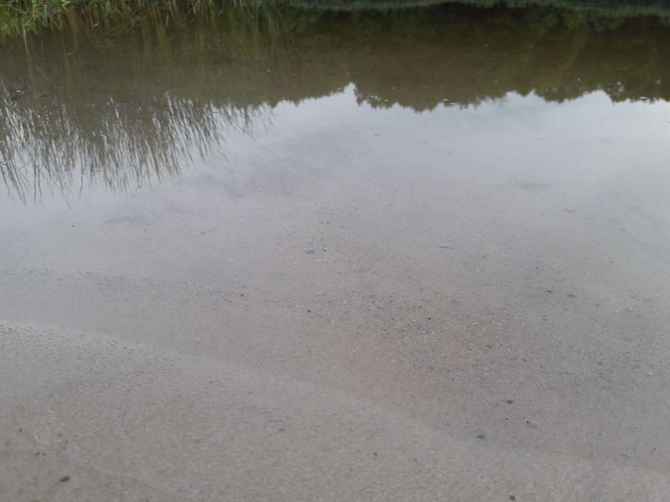 В водохранилище Нововоронежа поймали экзотическую рыбу из Южной Америки