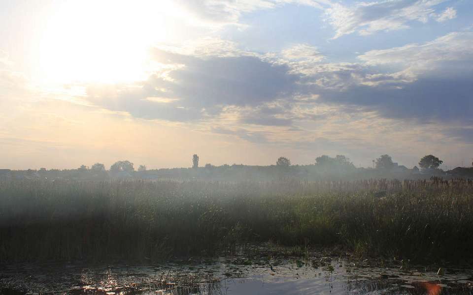 Похолодает до 0 градусов в начале недели в Воронежской области
