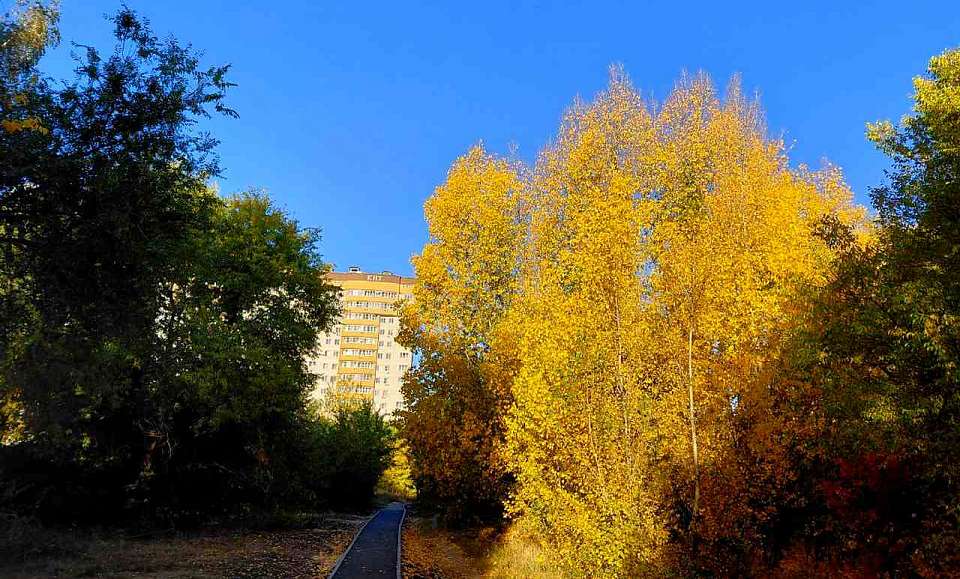 Что будет в Воронеже 1 ноября. Проводы осени. День судебного пристава. Большой этнографический диктант. Открытие Маммонтеуса