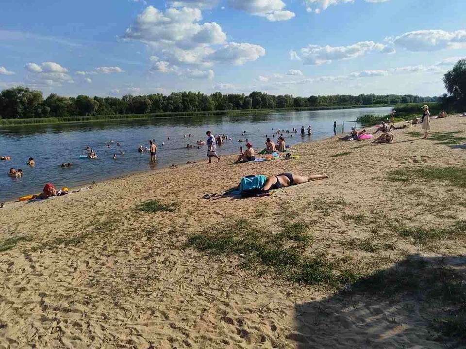 В Воронежской области санврачи забраковали 5 пляжей