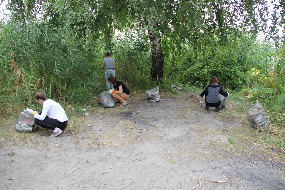 Сотрудники Кадастровой палаты убрали мусор на берегу Воронежского водохранилища