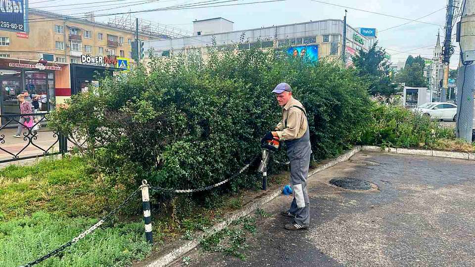 В Ленинском районе заботятся о природе и горожанах