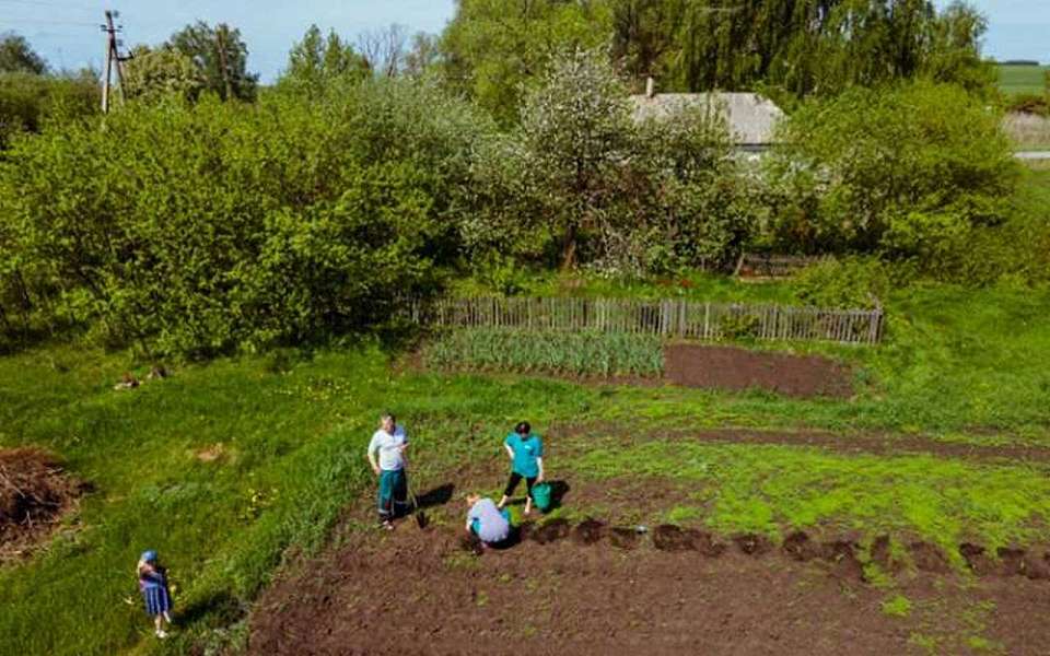 Для воронежских дачников проведет горячую линию 17 апреля Росреестр