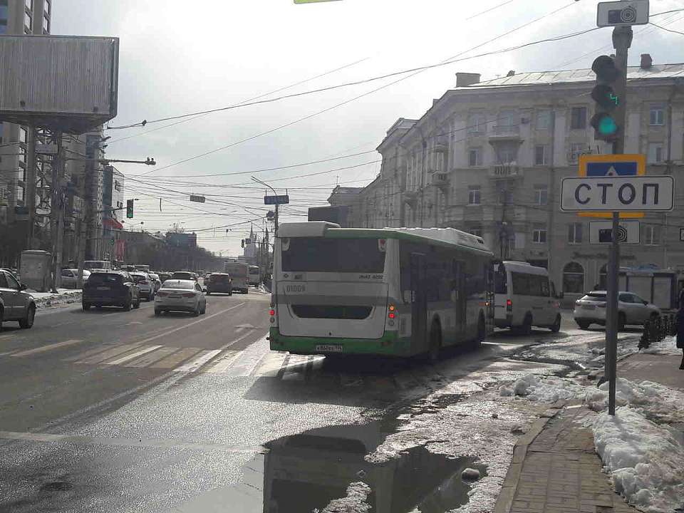 Платным останется проезд на автобусах в дни выборов в Воронеже
