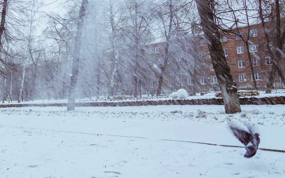 Морозы с ветром и дожди со снегом ожидаются на рабочей неделе в Воронежской области