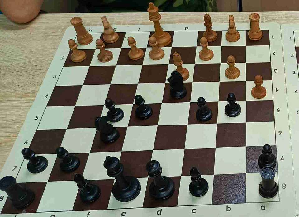 Воронежская шахматистка Анна Журова поборется за звание чемпионки мира в Катаре