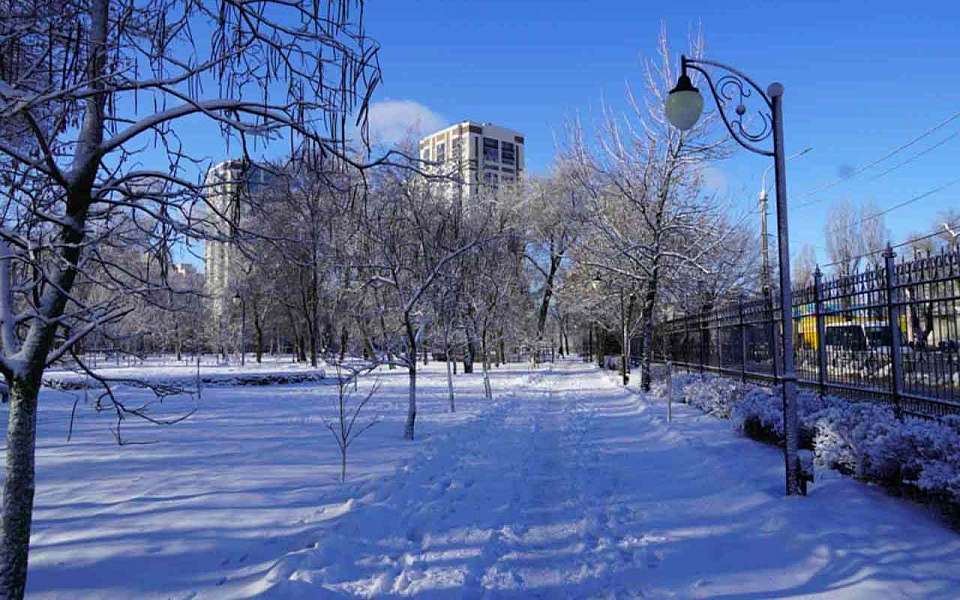 Сильные морозы придут в выходные в Воронежскую область