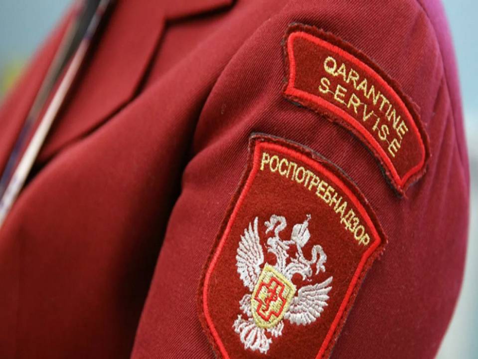 За двух заболевших сотрудников оштрафовали руководителя школы в Воронежской области