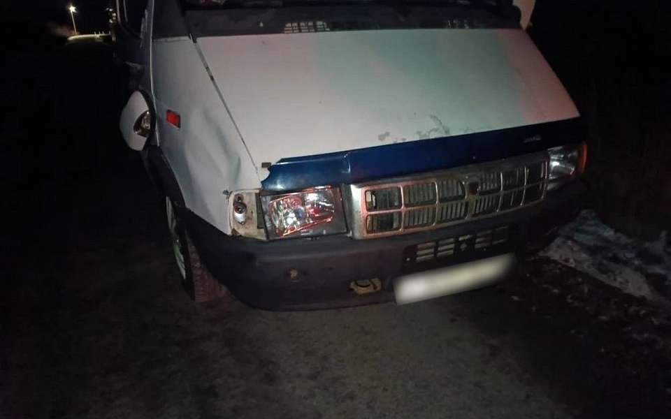 Жительницу Мурманской области сбил грузовик под Воронежем