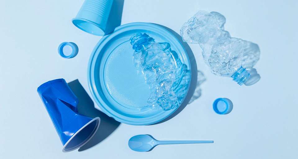 Продукты в авоське: как воронежцам при покупках в магазинах отказаться от пластика