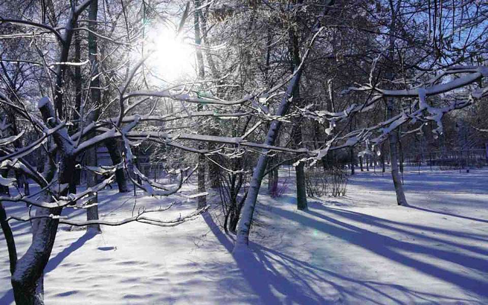 Ясный день без осадков ожидает 6 февраля воронежцев