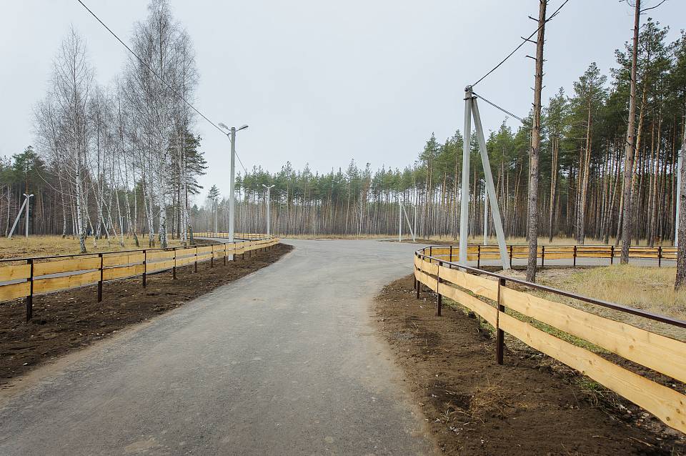В райцентре под Воронежем за 107 млн рублей построят лыжероллерную трассу  