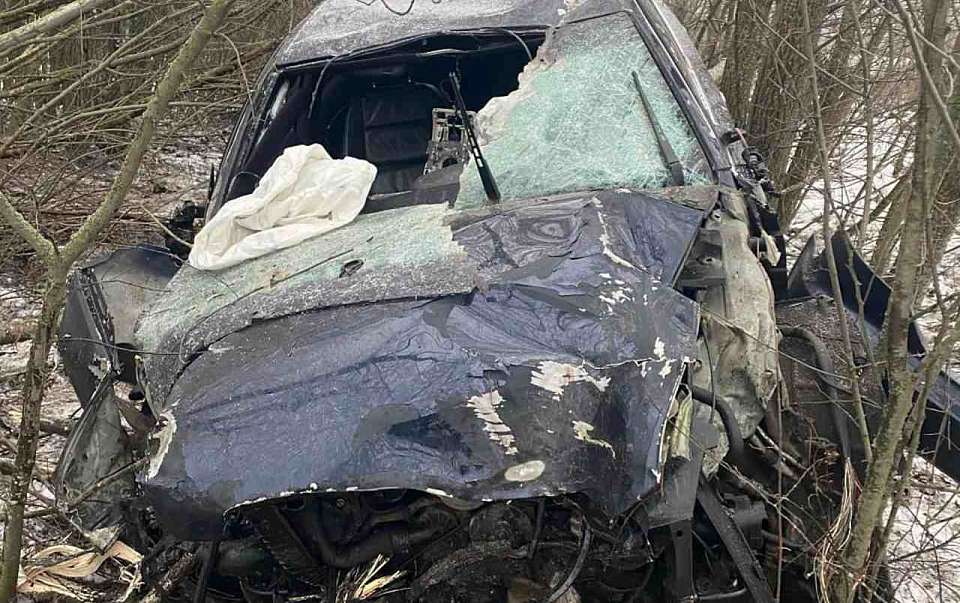 После наезда Audi A6 на деревья в больницу попали двое жителей Воронежской области