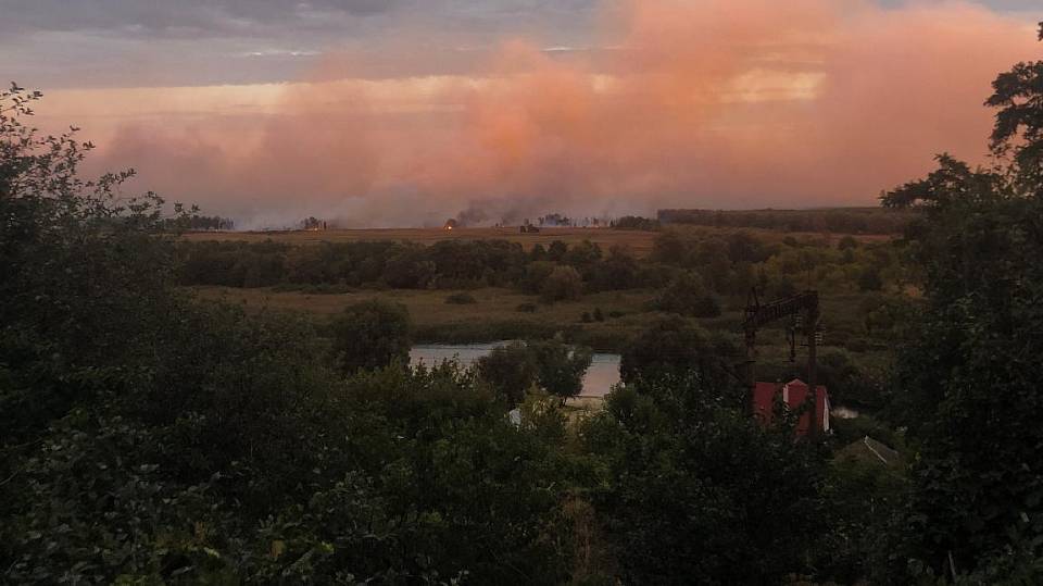 Крупный природный пожар в Воронежской области на 130 га локализован