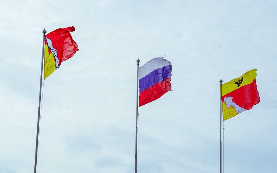 За публикацию герба города в порочащем виде оштрафовали жителя Воронежской области