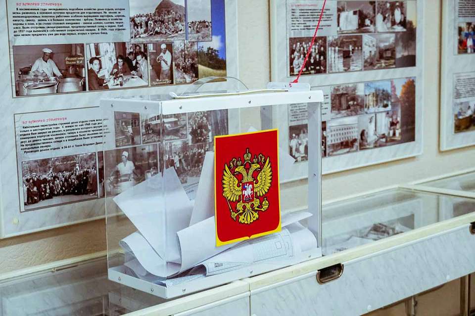 Опубликован список избирательных участков на территории Воронежа
