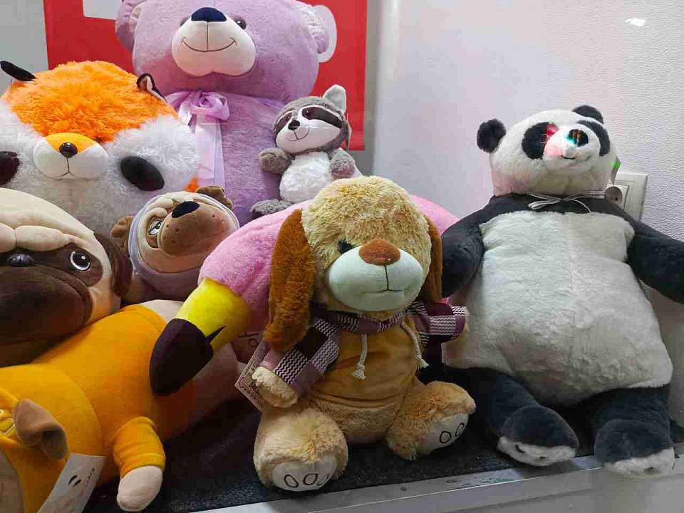 Многодетным молодым семьям в Воронежской области выплаты будут увеличены