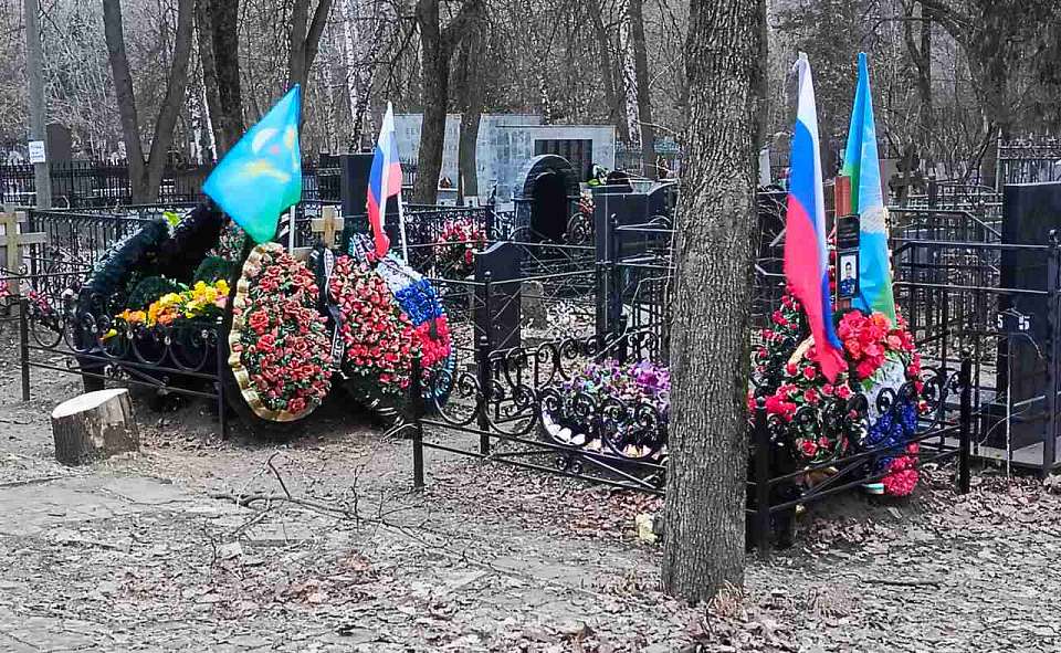 В Воронежской области благоустройство «Аллеи Героев» участников СВО было сорвано