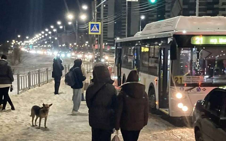 На линию утром 13 февраля вышли 752 пассажирских автобуса в Воронеже