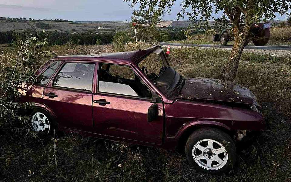 Разбился о дерево 19-летний автомобилист в Воронежской области