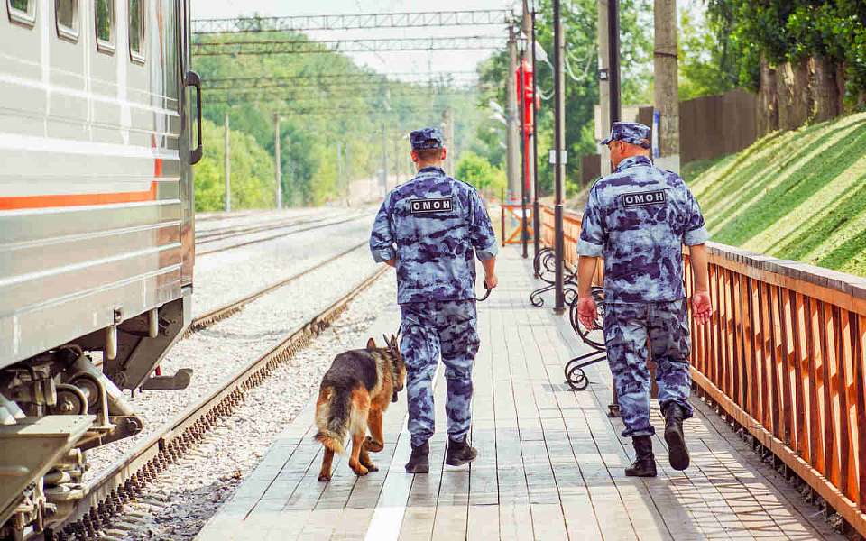 Уголовное дело за дебош в поезде «Москва – Симферополь» возбудили в Воронеже