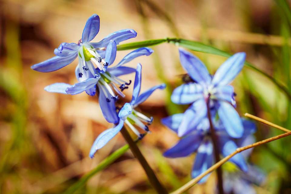 Солнечное тепло до +13 градусов ожидают воронежцев в воскресенье, 15 марта