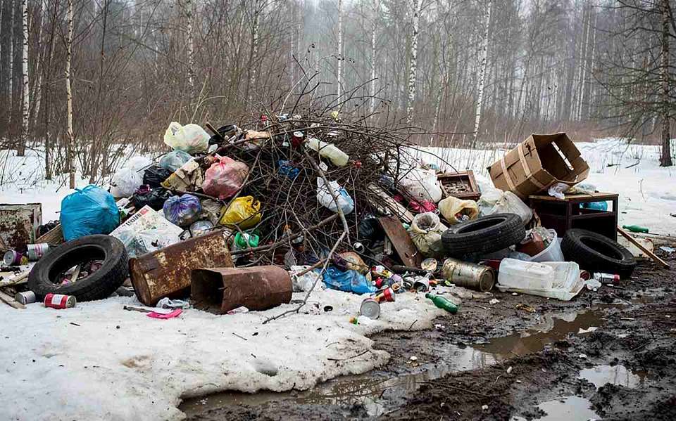 Незаконная свалка в Северном лесу Воронежа будет ликвидирована