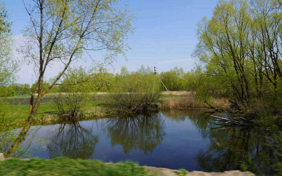 Тело 54-летнего мужчины нашли в пруду жители воронежского села