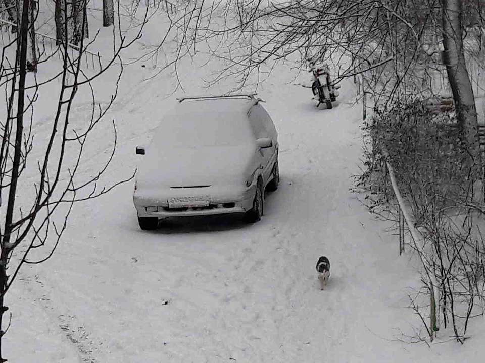 Какая погода будет в феврале, рассказали жителям Воронежской области