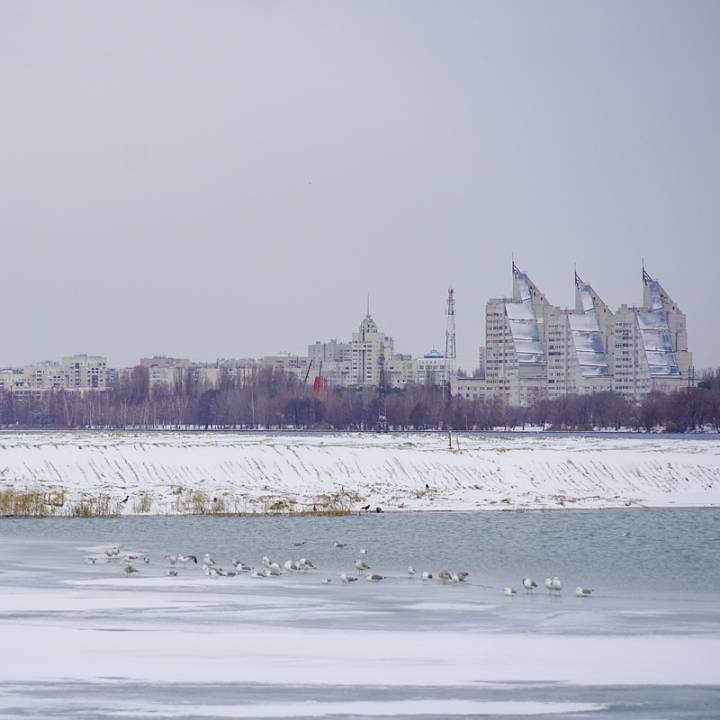 В Воронеже из-подо льда под Северным мостом достали тело женщины 
