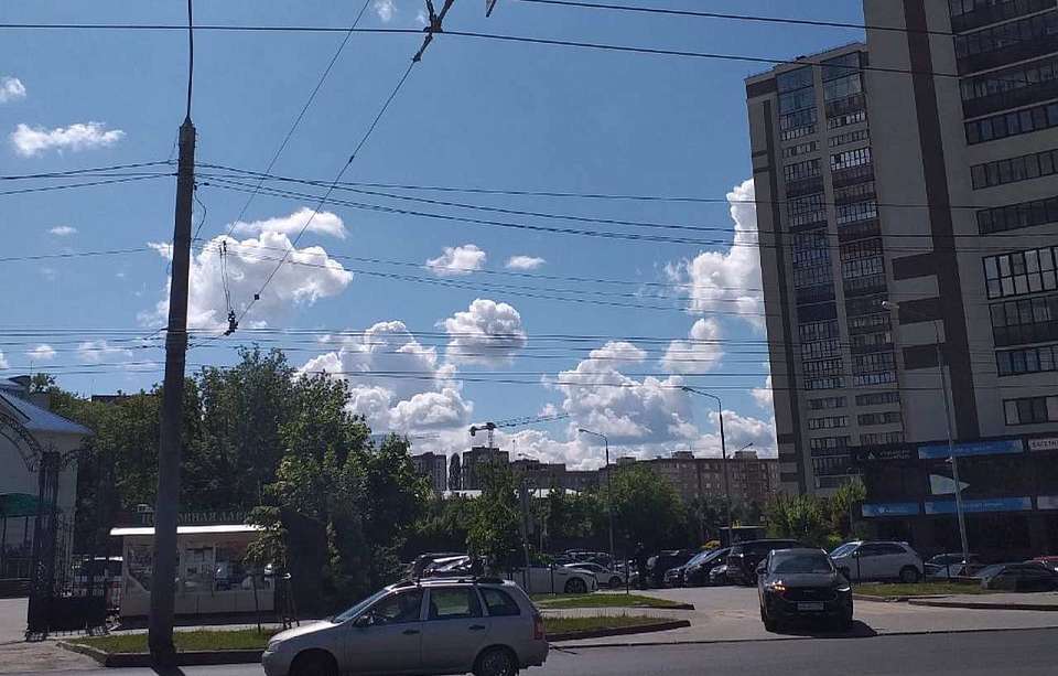 До +24 градусов потеплеет к концу недели в Воронежской области