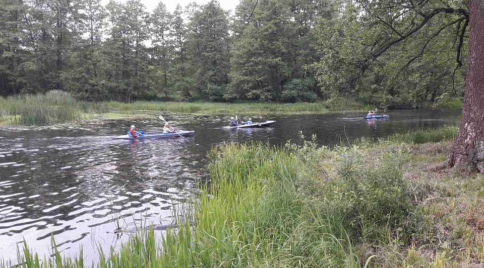 Земельный участок с пляжем и зоной отдыха в Воронеже продают за полмиллиарда