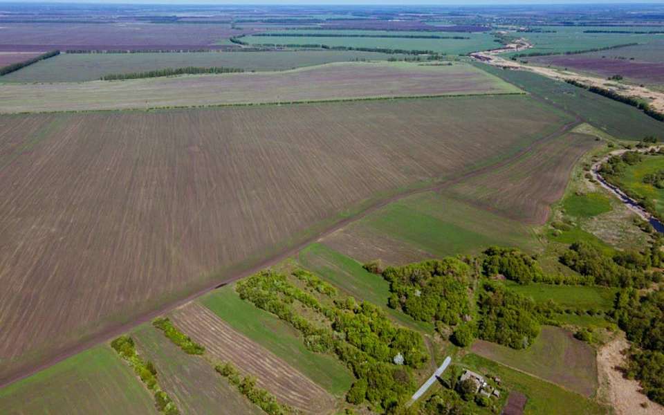 Более 20 земельных участков вернули в государственную собственность воронежские прокуроры