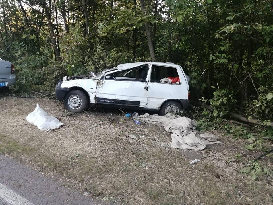 В опрокинувшейся в кювет «Оке» под Воронежем пострадали 2 человека