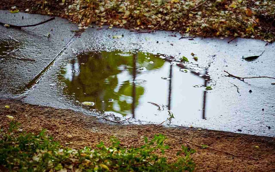 Небольшие дожди появились в прогнозе воронежского Гидрометцентра