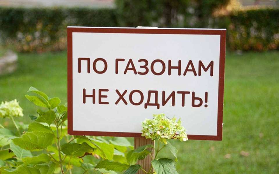 Свыше 150 га новых зеленых зон общего пользования появятся в Воронеже