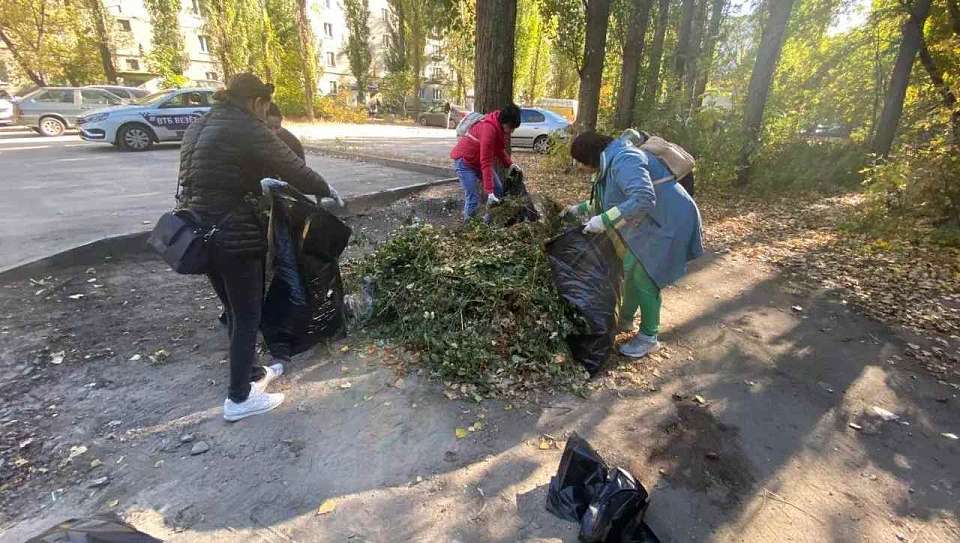 Комбинат благоустройства не сбавляет темп покоса травы
